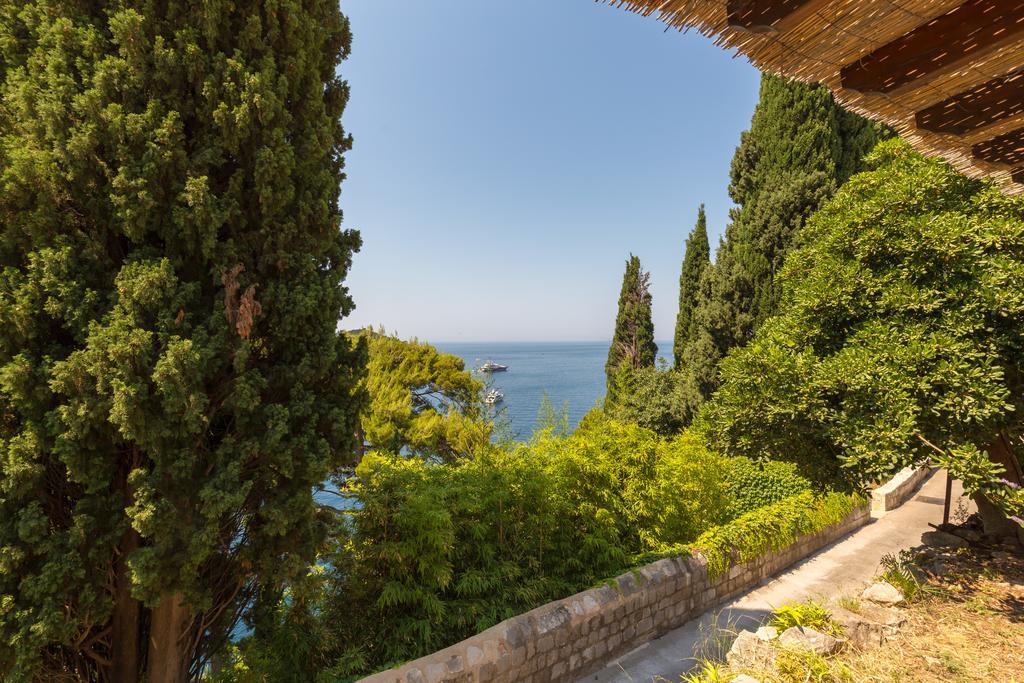 Cypress Dubrovnik